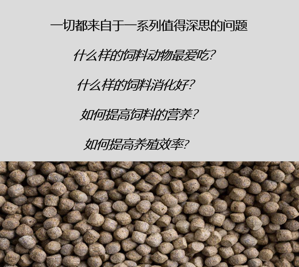 關于飼料生產的熟化工藝，以及保持器/保質器的應用解析